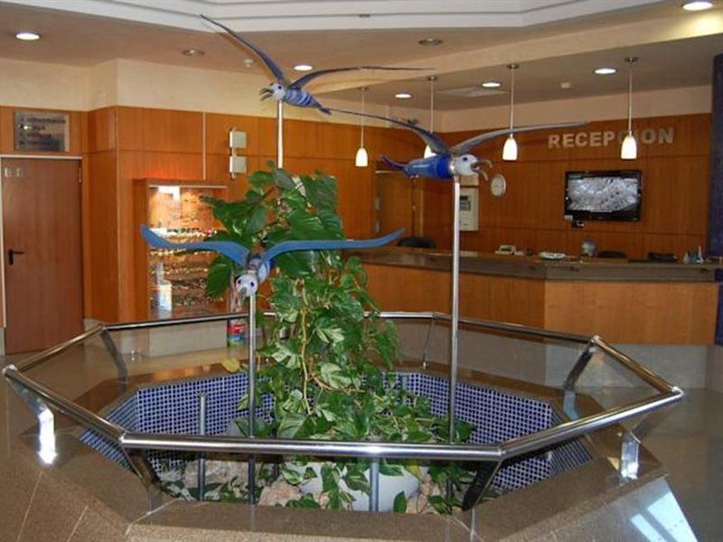 Gaviotas Hotel 4*